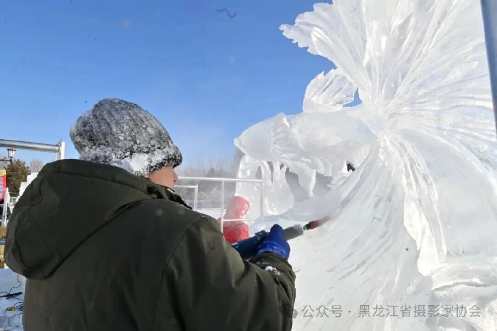 77.jpg